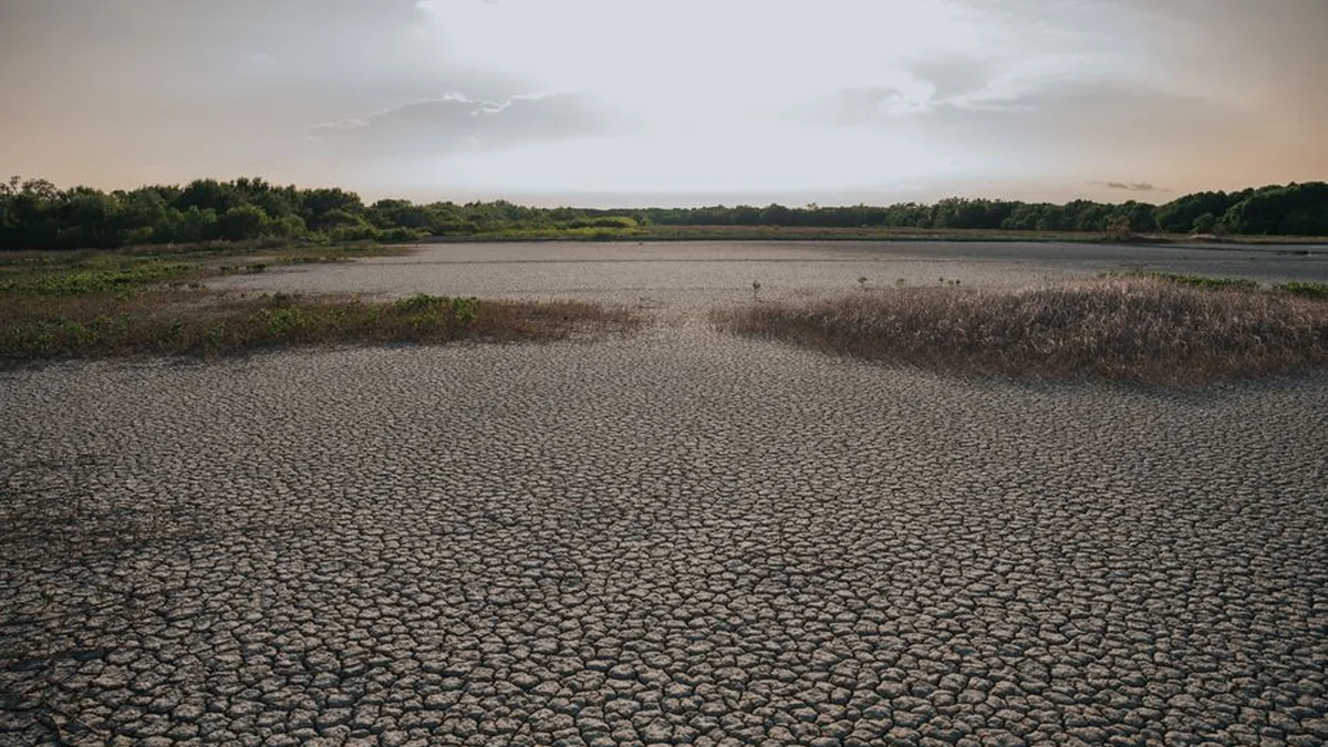 Climate is warming up – June and average temperature of the year are rising