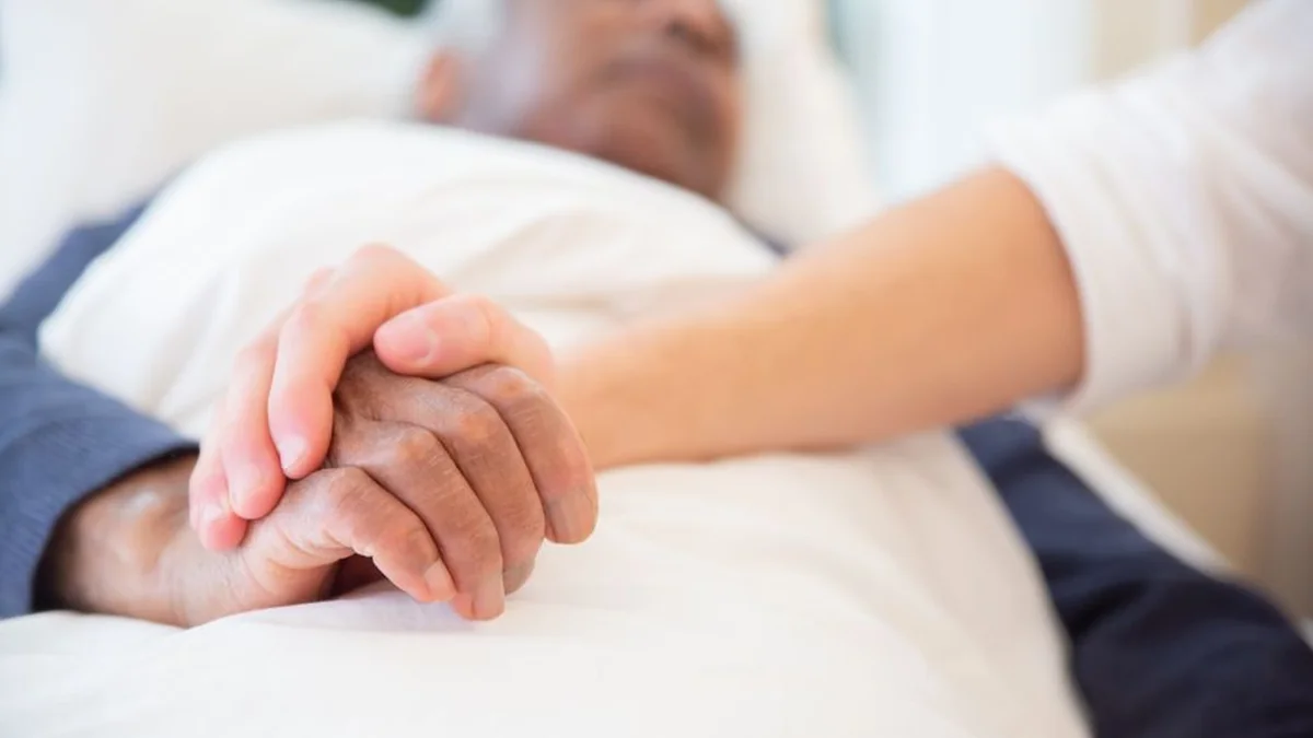 Does the daily rate of palliative care decrease by three times?